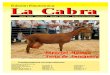 Edición Electrónica La Cabra · La CabraLa Cabra Especial Málaga Feria de Antequera Mayo 2004 · Número 9 · Revista Periódica · Publicación Gratuita Juan Manuel de Micheo