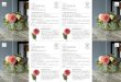 Weekend Flower ダリア ダリア 10...2017/09/14  · 華麗なるダリア 秋を雅に彩る花姿に魅せられて 茎が硬く、花弁のシャキっとしたものを選びましょう。