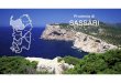 Provincia di SASSARI - SardegnaAmbientesardegnaambiente.it/documenti/3_68_20120120121606.pdf · AD SIGNA MILITES È un’ associazione culturale con lo scopo di far conoscere la storia