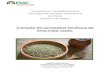 Extração de compostos fenólicos da erva-mate verde.sosvalor.com/wp-content/uploads/2018/11/C1-BSc-28-TPAII_Erva-ma… · O Mate, uma fermentação tradicional de ervas, feita a