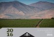 Sustainability Report Lyrarakis wines | Sustainability Report 2016 | p.1 Sustainability Report 2016