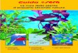 Guida 67 - ACQUARIO PIANETA BLU - Home Piante 2007.pdf · 2017. 10. 11. · ha una luce rossa/blu che accentua i colori naturali dei pesci e delle piante e che con-temporaneamente