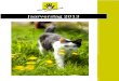 Jaarverslag 2013 - Dierenbescherming Rijnmond · 2014. 4. 1. · 1 Samenvatting In 2013 heeft Dierenbescherming Rijnmond een start gemaakt met het professionaliseren van de organisatie