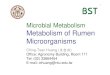 Microbial Metabolism Metabolism of Rumen 1 Microbial Metabolism Metabolism of Rumen Microorganisms Ching-Tsan