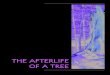 blogs.helsinki.fi · 2016. 4. 7. · THE AFTERLIFE OF A TREE 5 CONTENTS Chapter 1. INTRODUCTION ______________________________________________________________________ 7 1.1. How long