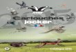 DEPUIS 1974 Cartouches jocker - Shoot Hunting Outdoorurubuga.shoothuntingoutdoor.fr/wp-content/uploads/2015/... · 2015. 7. 7. · Catalogue 2015 FABRICATION FRANÇAISE DEPUIS 1974