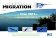 Les Cahiers de la Migration 2010 - biolovision.netfiles.biolovision.net/ · de l’Ilette). Finalement, il n’y a qu’un seul site de suivi de la migration active dans une RNN :