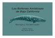 Las ballenas amistosas de Baja California...Hay más que las ballenas en las lagunas.\爀屮\爀屮Lobos marinos, aves migratorias, pelícanos, brantas negras, frigatas magníficas,\ഠvarias