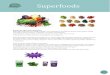 Superfoods - Ulrika Davidsson som bland annat vitaminer, mineraler och starka antioxidanter. Superfoods