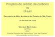 Projetos de crédito de carbono no Brasilarquivo.ambiente.sp.gov.br/cea/2011/12/Warwick_1.pdfCICLO DO PROJETO CARBONO (WB) Projeto Carbono Permite avaliar o empreendimento com os critérios