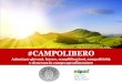 #CAMPOLIBERO - Mipaaf...#CAMPOLIBERO ALLE IMPRESE CREDITO D’IMPOSTA per INNOVAZIONE E SVILUPPO di prodotti e tecnologie al 40% delle spese e fino a 400 mila euro CREDITO D’IMPOSTA