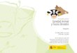 diptico sanidad animal v2 - mapa.gob.es · Luis José Romero, SG Sanidad e Higiene Animal y Trazabilidad . " Una sola sanidad animal: integración sanitaria de animales domésticos