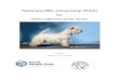 Rasespesifikk avlsstrategi (RAS) for€¦ · NKKs anbefaling er at en hund ikke bør ha flere avkom enn tilsvarende 5% av antall registrerte hunder i rasepopulasjonen i en 5-års-periode