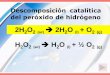 2H2O2 (ac) 2H2O + O2 - UNAMdepa.fquim.unam.mx/amyd//archivero/2015CATALIZ... · Calcular el orden de reacc para el peróxido por el metodo integral determinanando la Kap Análisis