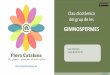 Clau dicotòmica del grup de les - FloraCatalana · 2020. 3. 31. · Clau dicotòmica del grup de les GIMNOSPERMES Lluís Vilar Sais Josep Gesti Perich  Endavant >>