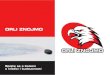 0956 11 CJ Orli nabidka pro partnery netNovodobá historie obrozeného hokeje ve Znojmě se začala psát již 6. 5. 2009, kdy vznikla společnost Orli Znojmo, s. r. o. Za významné