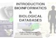 INTRODUCTION BIOINFORMATICS BIOLOGICAL DATABASES · Course Material ELEUM: • The slides of the lecture will become available after the lecture. • Per practical session literature
