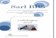 2016 Sarl BBS - CanalBlogp1.storage.canalblog.com/10/52/1360483/110166159.pdf2016 vous emballe… 3 SACS PLASTIQUES Sacs bretelles Sacs bretelles HD 26+6x45 en 10, 11,13, 14 microns