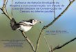 Avifauna da Estação Ecológica de Itirapina e sua ...€¦ · estado de São Paulo (Willis& Oniki 2003). •EEI apresenta 11 ou 33,3% das 33 aves endêmicas do Domínio do Cerrado