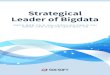 Strategical Leader of Bigdata - SOCSOFT · 내점포 분석 상권 보고서 모바일 상권분석 2019년 구축사례 : 성남시 행정데이터 공유활용시스템 구축 사업