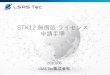 STK12 無償版ライセンス 申請手順...LSAS Tec株式会社 2 • STK12（無償版）を使用するための手順 1. AGI社ウェブサイトへのログイン 2. ソフトウェアのダウンロード、インストール