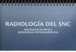 RADIOLOGêA DEL SNC - WordPress.com...Meningitis Puede haber hipercaptación en espacios subaracnoideos Encefalitis Lesiones necrosantes hemorrágicas Abscesos Parasitosis Radiología
