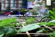 Agenda Culturel - Office de Tourisme et des Congrès du ......Retrouvez sur l’agenda culturel de la Communauté d’agglomération du Pays de Saint-Omer, les manifes-tations pour