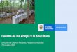 Cadena de las Abejas y la Apicultura · 2020. 8. 2. · 1.2 Estructura de la cadena –Comités departamentales Cadena Productiva de las Abejas y la Apicultura Ministerio de Agricultura