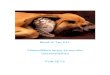 Belső & Tsa Kft. Fémkellékek kutya és macska felszereléshez · 2017. 8. 28. · Fémkellékek kutya és macska felszereléshez FOR PETS . CSATOK/BUCKLES 1104-12 1104-16 1104-18