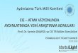 CIE –ATMK VİZYONUNDA AYDINLATMADA YENİ ARAŞTIRMA … · 2019. 9. 25. · Romanya Rusya Sırbistan Singapur (Yardımcı Üye) Slovakya Slovenya Suudi Arabistan (Yardımcı Üye)