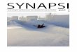 2018alzhki.fi/wp-content/uploads/2019/11/Synapsi-1-2018.pdf · 2019. 12. 2. · - Henkilökohtainen apu -päätös (A) - Päivätoimintapäätös - Erityishuolto-ohjelman mukainen