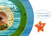 Varuj morje, bodi zvezda! · 2016. 11. 15. · bodi zvezda! V o oi ezda! 3 1) Trajnostno živeti z morjem: načrt upravljanja morskega okolja: začetna presoja morskih voda v pristojnosti