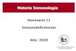 Seminario 11 Inmunodeficiencias...Seminario 11 Inmunodeficiencias Año: 2020 Universidad de Buenos Aires Facultad de Medicina Materia Inmunología Primarias (IDP): - alteraciones genéticas