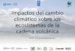 Impactos del cambio climático sobre los ecosistemas de la ...IMPACTOS DEL EL CAMBIO CLIMÁTICO EN DIFERENTES SISTEMAS Sistemascosterosy áreasde baja altitud • Inundaciones, hundimiento