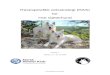 hvitgjeterhundklubb.files.wordpress.com  · Web view2015. 1. 22. · Den Hvite Gjeterhunden er en svært vakker hund, som trollbinder med sine mørke, intelligente øyne og sin vakre,