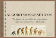 ALGORITMOS GENÉTICOS...Algoritmos genéticos • Algoritmos basados en los principios de la evolución natural • Se utilizan en problemas donde no se pueden encontrar soluciones