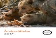 Årsberättelse 2017 - World Animal Protection · Som en del i detta arbete upplyser vi turister om vilka förhållanden djuren lever i. Om efterfrågan från turis- ... På instagram