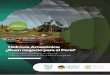 htp:// Hidrovía Amazónica: ¿Buen … · 2019. 3. 29. · Consejo Suramericano de Infraestructura y Planeamiento - COSIPLAN, y tiene como objetivo el acondicionamiento de la navegación
