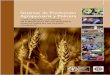 Sistemas de Producción Agropecuaria y Pobreza · 2017. 11. 28. · vii 1. INTRODUCCION 1 Contexto 1 Hambre,pobreza y agricultura 2 Características de los sistemas de producción