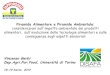 Piramide Alimentare e Piramide Ambientale considerazioni 2014. 5. 30.آ  Piramide Alimentare e Piramide
