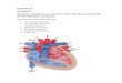 fisiomedestd.files.wordpress.com · Web viewEl corazón derecho bombea sangre hacia los pulmones y el corazón izquierdo bombea sangre a través de la circulación sistemática a