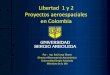 Libertad 1 y 2 Proyectos aeroespaciales en Colombia - ITU · 2016. 11. 3. · P-Pod-B AeroCube 2 U.S. Technology AeroSpace Corp. AeroSpace Corp. Cubesat 1 kg SSO P-Pod-B CSTB-1 U.S