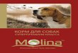 ˆˇ ˘˚ ˜triol.spb.ru/katalog/Molina_byklet.pdf · 2016. 8. 14. · что Molina – полезный и вкусный корм для собак всех пород. Производитель