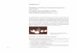 Ναρθηκοποίηση Τραυματισμένων Δοντιών...64 2. Επιλογή παρακείμενων μη τραυματισμένων δοντιών ως στηρίγ-ματα