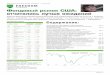 Фондовый рынок США: отчитались лучше ожиданийdata.investfunds.ru/comments/stocks/file/2016-05/Freedom... · 2016. 5. 13. · Инвестиционный