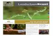 LandschapsKrant Editie: Nationaal Park Hoge Kempen … · 2012. 11. 6. · loze landschappen van de Hoge kempen, ... ten. Verschillende overheden, van Europa over Vlaanderen en de