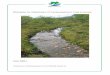Biotopplan for tilløpsbekker til Aursjømagasinet i Lesja …naturkompetanse.no/dok/Notat_2006-1.pdf1 for beskrivelse av prinsipper for utlegging av gytegrus. 12 Bilde 8. Lokalitet