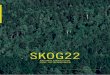 SKOG22...2 Sammendrag, konklusjoner og hovedanbefalinger 4 3 Skogen- en nøkkelrolle i fremtidens økonomi 8 3.1 Ressurspotensial10 3.2 Markedsmuligheter; Fornybare materialer, produkter,