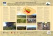 PROYECTO LIFE + GARAJONAY VIVElifegarajonayvive.com/descargas/Cartel_Garajonay.pdf · European Union funding: 755.747,00 € Restauración ecológica en el Parque Nacional de Garajonay