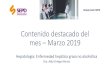 Contenido destacado del mes Marzo 2019 - sepd.es · El diagnóstico de la Enfermedad Hepática Grasa No Alcohólica (EHGNA) exige descartar tanto las Causas secundarias como el consumo